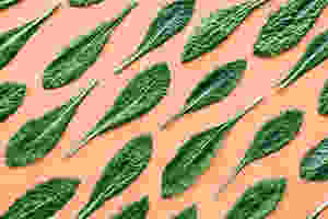 green kale leaf pattern superfood