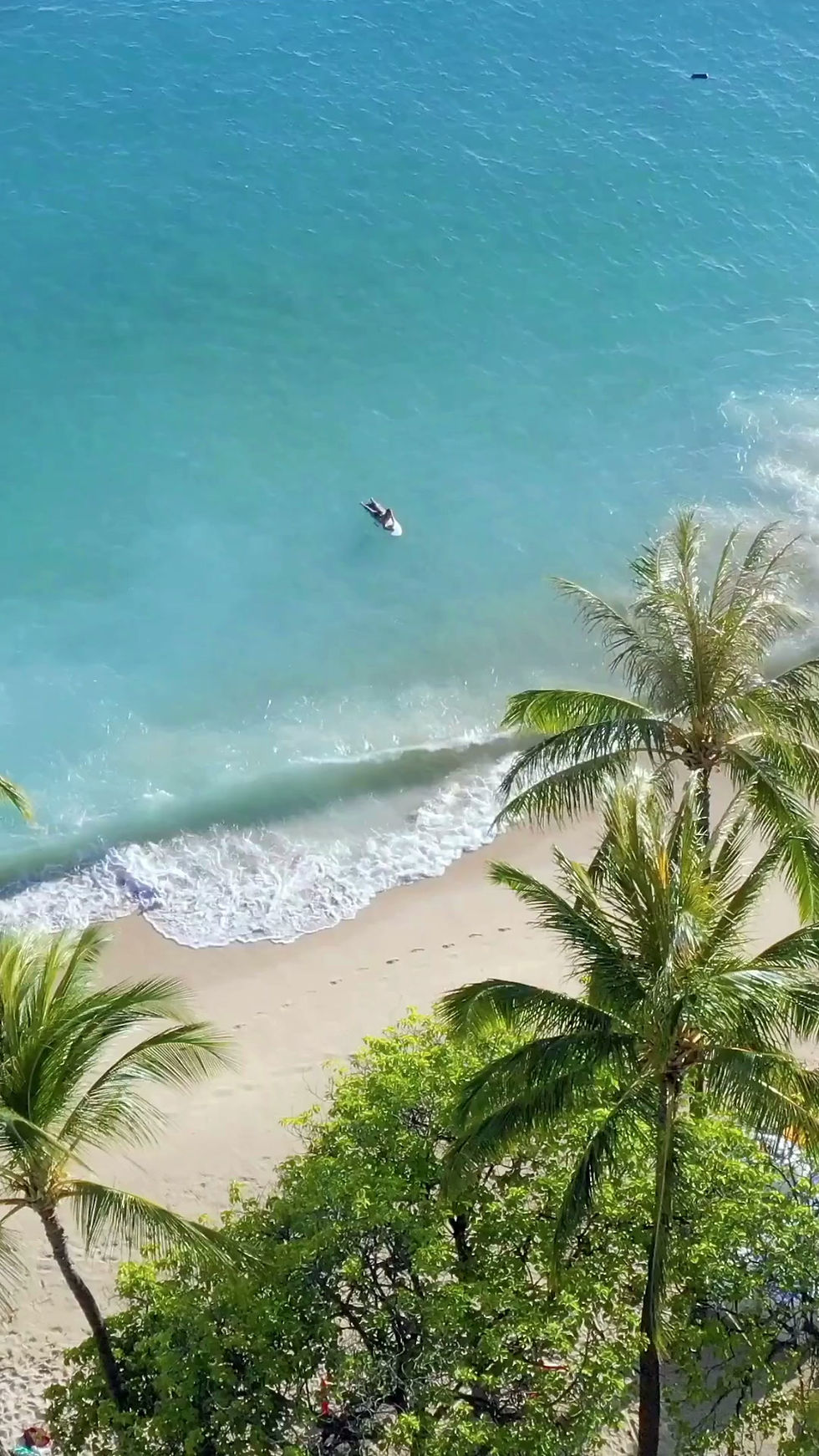 Hawaii Reel.mp4