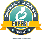CRB Expert Badge 2_2.png