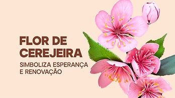 Flores- Entre Pétalas-05.jpg