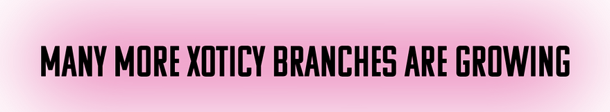 Refresh Tour Tour Date Xoticy Banner