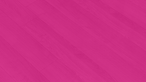 Pink BG xoticy.png