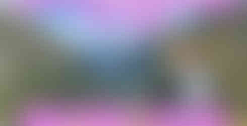 The Ultimate Guide to the Milford Track