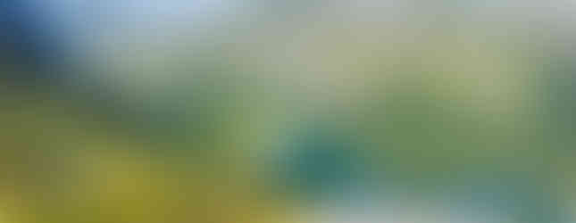 Lake McKenzie Routeburn Track