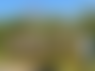 10 happy ladies proudly showing off this new willow obelisks that they have made today at a willow workshop in North Norfolk with Reef Make & Do.