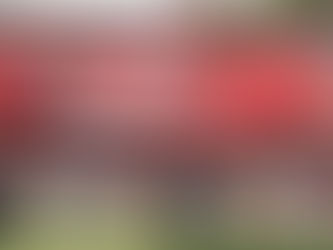 Cheirinho paulista: Fla enfrenta Figueirense com casa cheia e possibilidade de liderança.