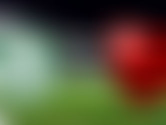 Separados por apenas um ponto, Flamengo e Palmeiras se enfrentam pela liderança do brasileirão.
