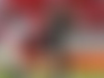 Fla joga bem, reage aos gols sofridos, porém perde pênalti no fim e empata com o São Paulo.