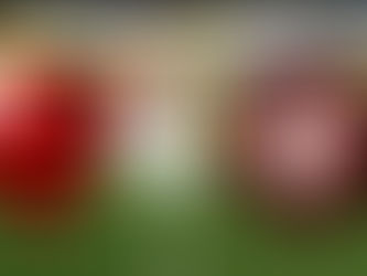 Fla e Atlético/PR fazem um direto duelo pela parte de cima da tabela.