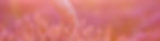 AdobeStock_168328078_edited.jpg