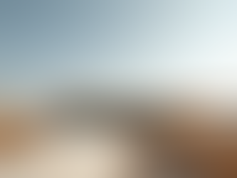 Palestine People Struggle for Land and Freedom