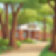 Discovery Woods School.jpg