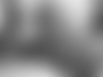 ARE YOU TIRED OF DOING ALL THE WORK YOURSELF????