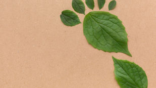 Living in Harmony at FUJIFILM SERICOL INDIA ( FSID): The Importance of an Eco-Friendly Lifestyle & Daily Activity