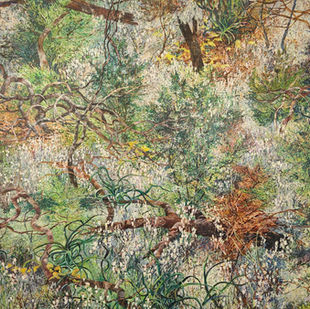 Australian landscape artist Beautiful Scrubland oil and wax on canvas 117cm x 103cm