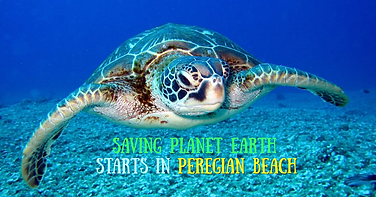 saving earth starts (2).png