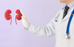 Chronic Kidney Disease Health: Causes, Symptoms & How to Prevent Disease