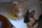 Thumbnail: Please call for availability and pricing