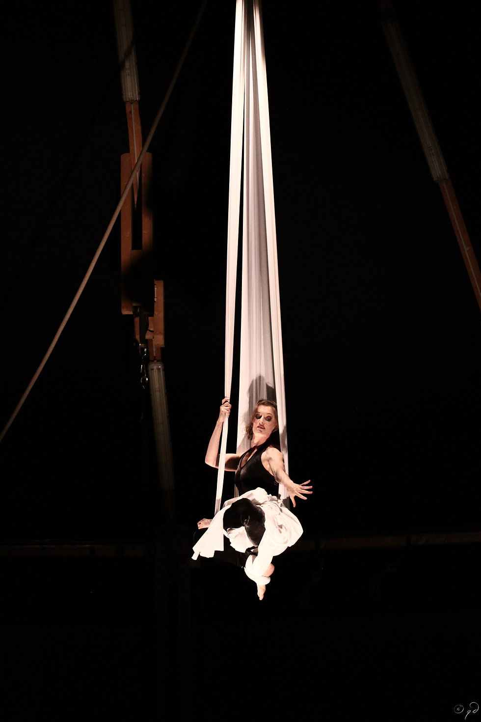 www.flyingsophie.com