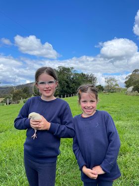 Mini farmers experiences, Grazed & Grown as featured in Brilliant-Online