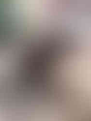 Gloria shortly after being rescued as featured in Brilliant-Online