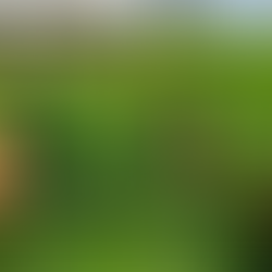 All free range as featured in Brilliant-Online | Grazed & Grown