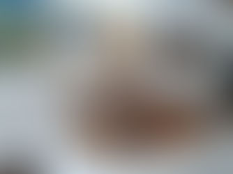 New Art Gallery and Business Hub comes to Wauchope