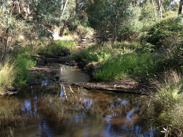 Working with landholders to protect and restore Australia’s wetlands and waterways as featured in Brilliant-Online