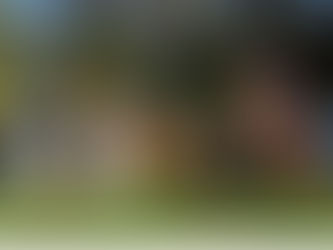 Do Good, Feel Good, Look Good with Hastings Landcare