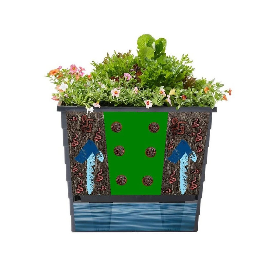 self-watering planter box