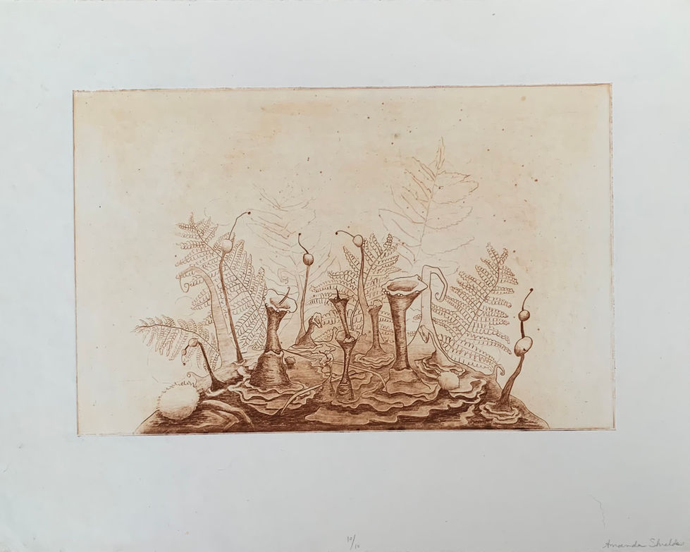 Forest Floor (original)
