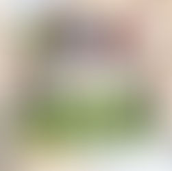 きっずおしごとタウン情報!