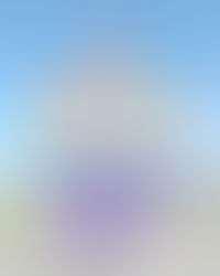 【ホップシャスリニューアル】