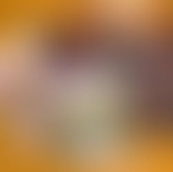 ホップシャスこはく掲載情報