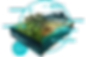 Holistic Graphic 5C.png