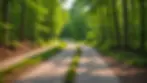 Paved UTV Trail