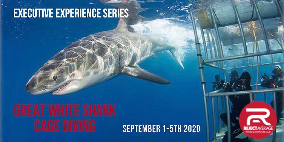 Great White Shark Cage Diving (AGAIN)