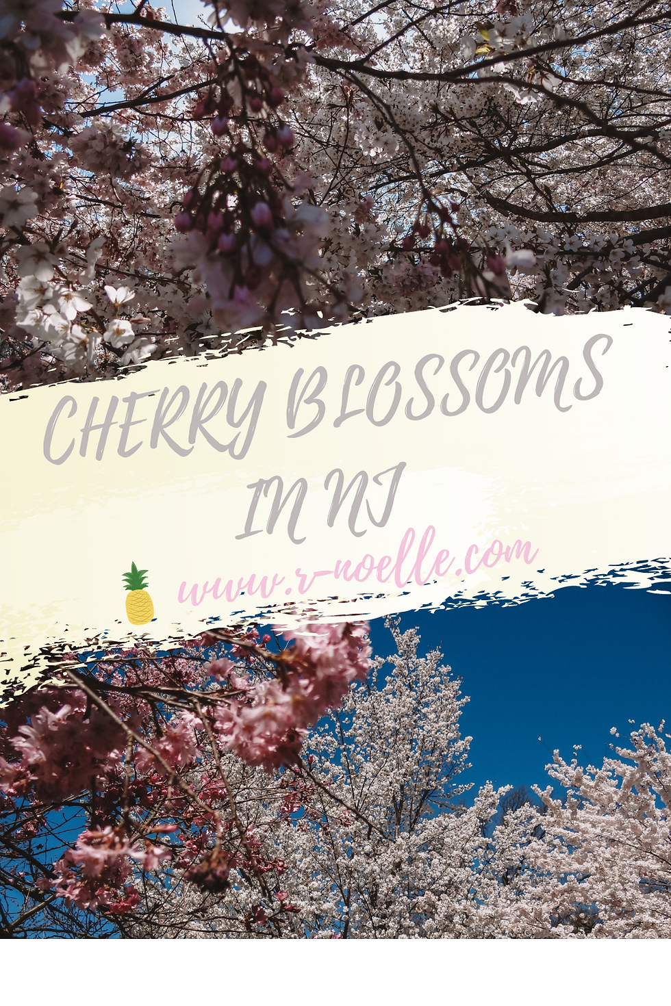 Branch Brook Park is famour for their cherry blossom festivals. Located in in Newark, New Jersey! Whether you drive, take the light rail, or bus to New Jersey it is worth the distance. There are more to see than cherry blossoms in DC!