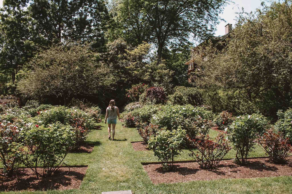 Free Gardens in New Jersey