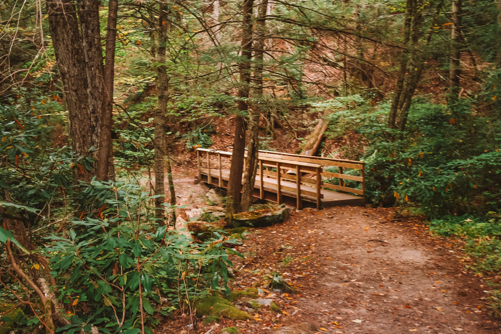 Neversink River Waterfall Foliage Hike