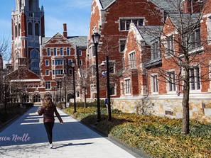 A Day in New Haven Connecticut