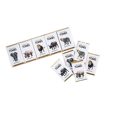 20 Piece Mini Slab Collection - Big 5 | Chocolatesbytomes