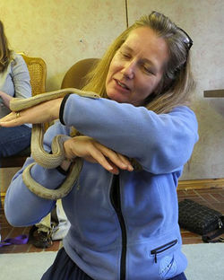 A Spirited Corn Snake