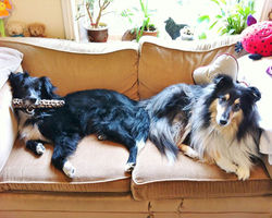 Best of Friends