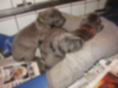 DSC00045.JPG
