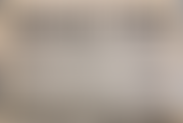 The World's Most Expensive Kilo of Grapes 