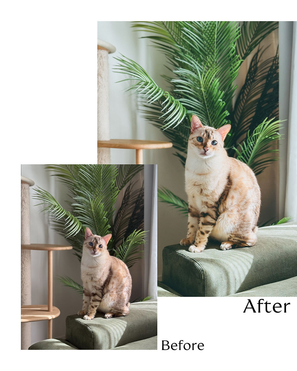 サムネイル： iPhone用Lightroom    プリセット『Moment』