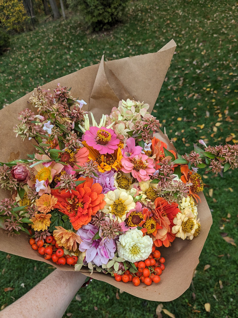Thumbnail: Fall Subscription (4)