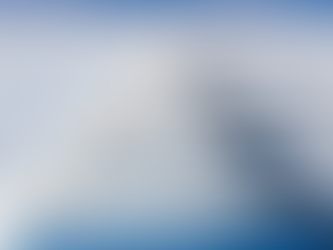 LA FIEBRE DEL ORO BLANCO