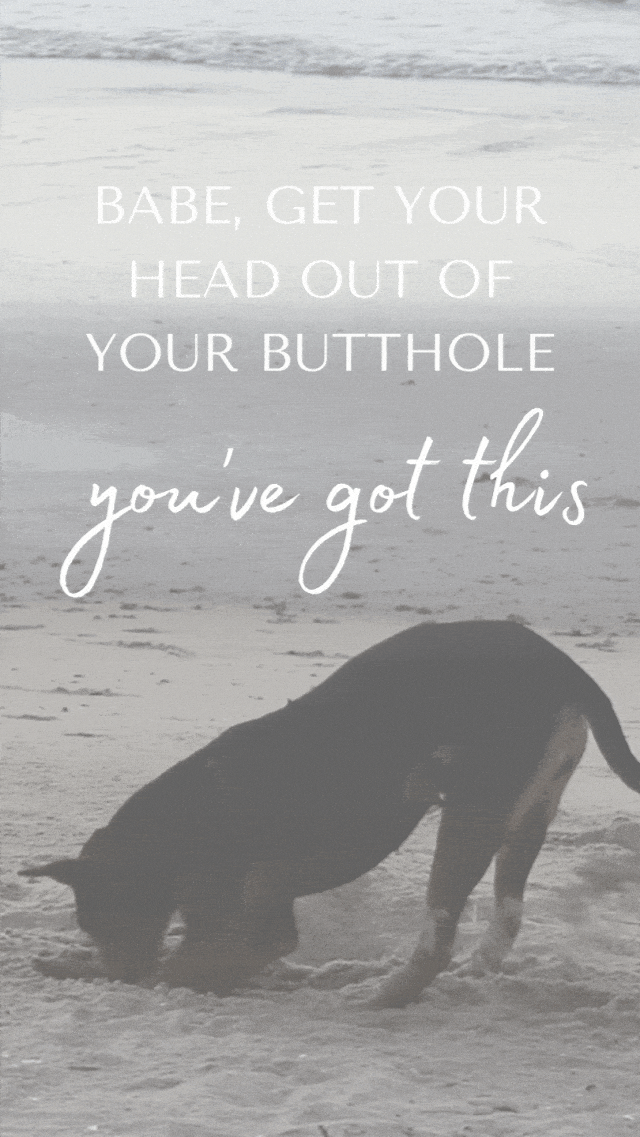 dog head in sand affirmation